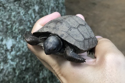 Daily private boat excursions