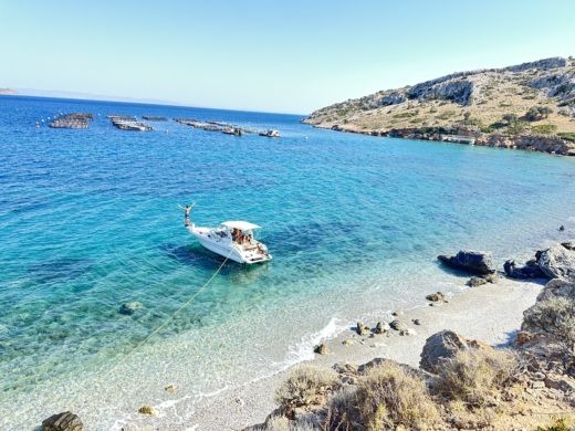 Motorboat Sea Ray 250 SUNDANCER Plano del barco