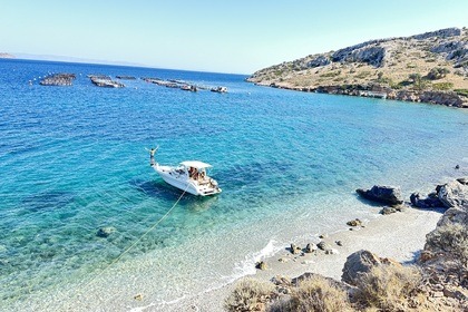 Cordelia Sea Ray Sundancer