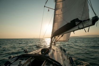 Radiki Bavaria 40