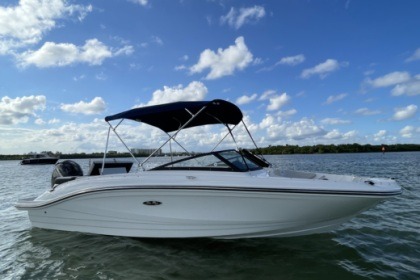 Rental Motorboat Sea Ray spx210 OB North Miami Beach