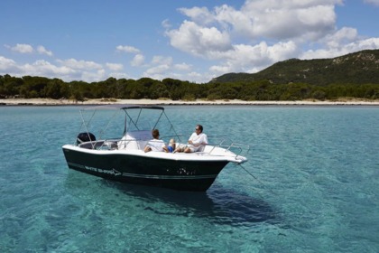 Charter Motorboat TIBURON 230 Sundeck Petrčane
