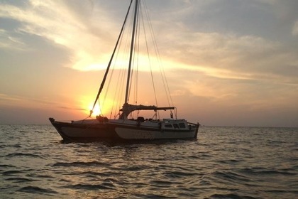 James Wharram Tikki 30