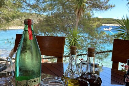 Insidias Fly 200 HP- FREE FUEL AND SKIPPER