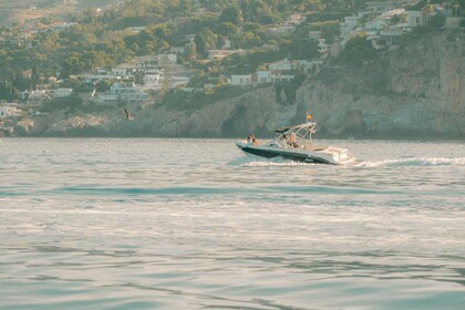 Alquiler Lancha Sea Ray 190 Spx La Herradura