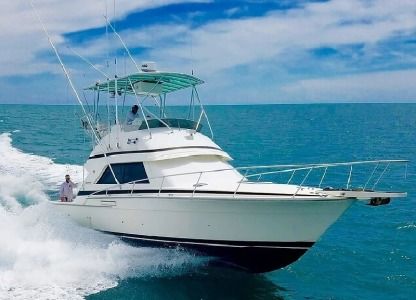 Location Bateau à moteur Bertram 37 Fort-de-France