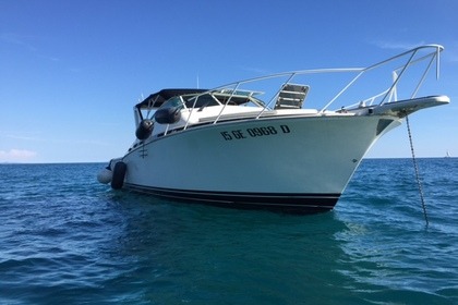 Charter Motorboat Bertram 38 Special Punta Ala