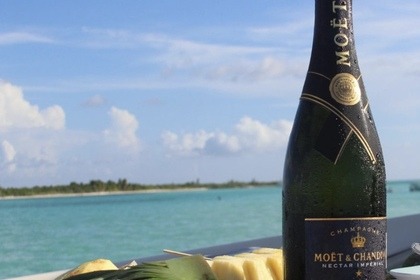 5⭐️ Sea Ray 24’ 2022. All inclusive