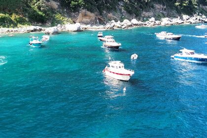 Gozzo Sorrentino Di Luccia