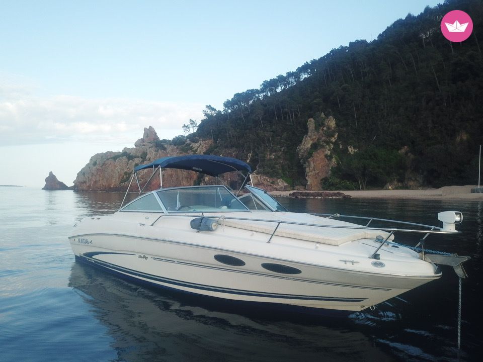 Bateau à moteur Sea Ray 260 Overnighter 350cv 5