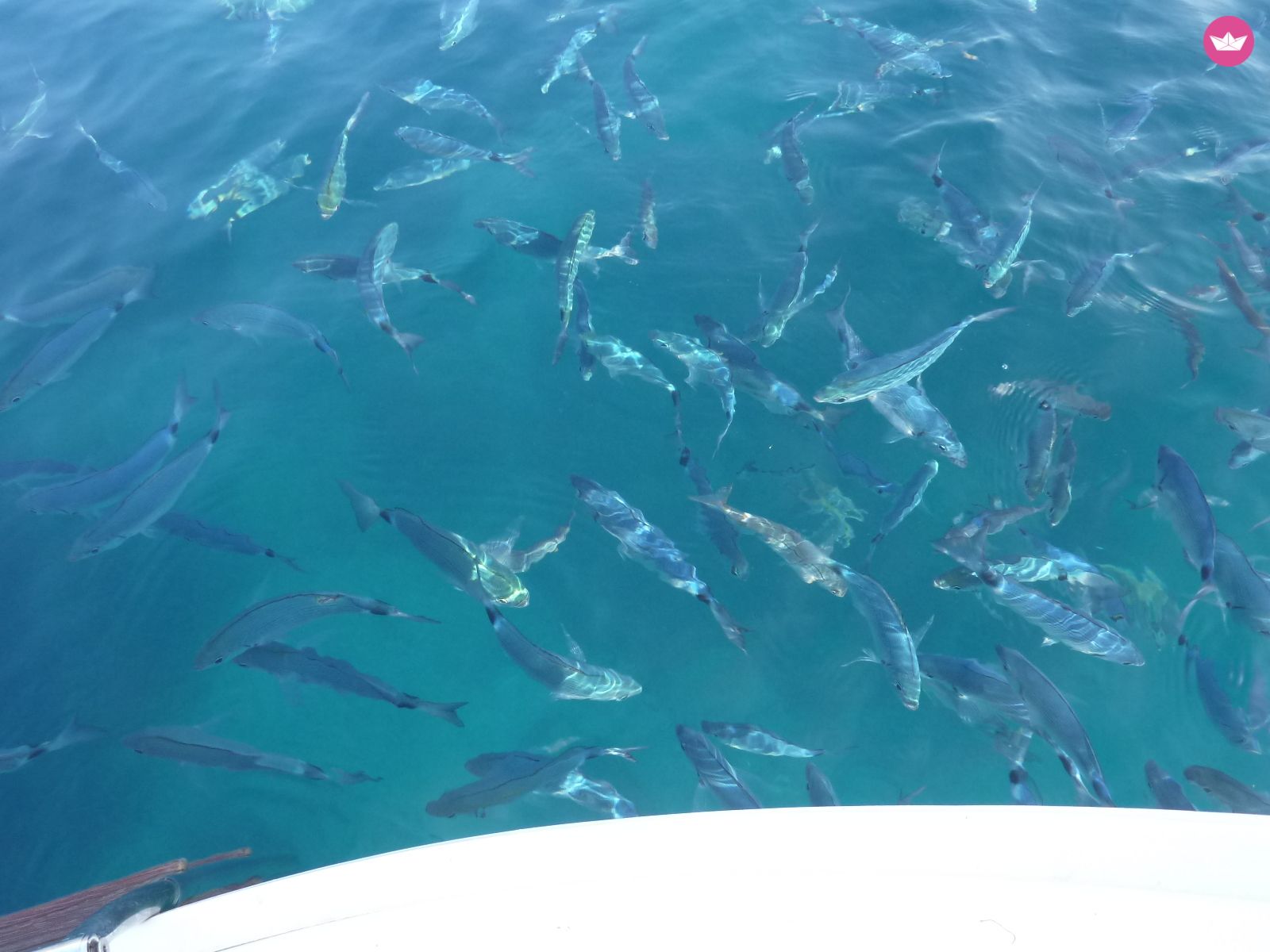 Voilier Kirie - Feeling Feeling 32 à louer