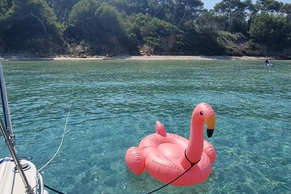 Rental Motorboat Guy Couach FLY La Londe-les-Maures