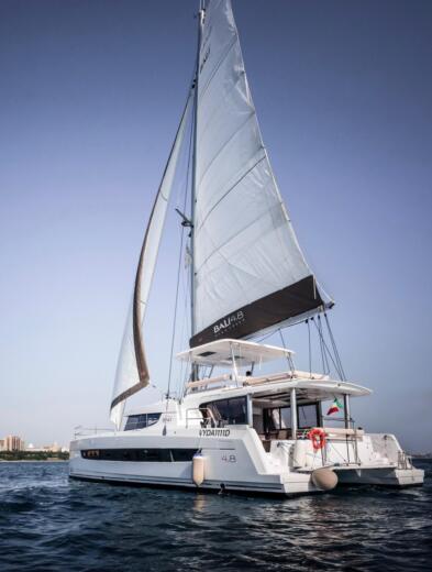 BALI 4.8 y2022