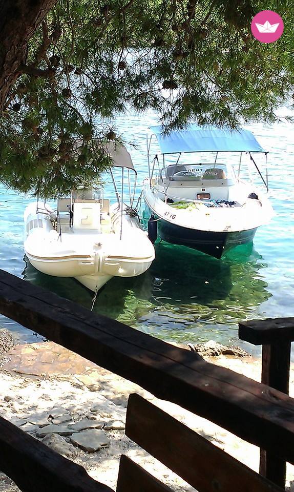 RIB Nouva Jolly 545 Winner for hire