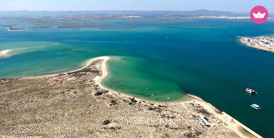 Charter Lagoon 400 S2