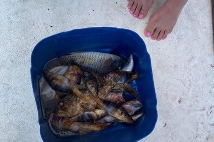 Spetses fishing trips and traditional boat rental