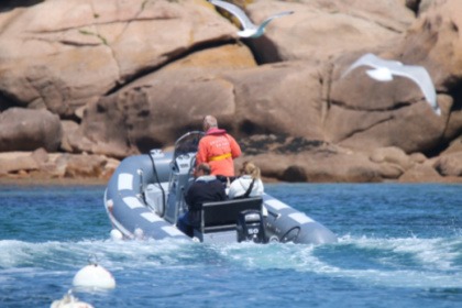 Hire RIB VALIANT 500 SPORT Trebeurden