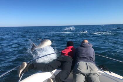 B2 marine Cap Ferret 6.52 CC open 2016