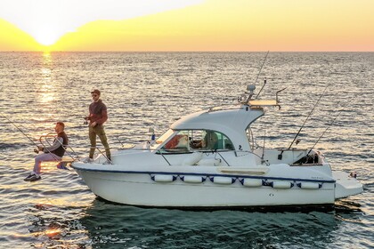 Rental Motorboat Beneteau Antares 6 Bar