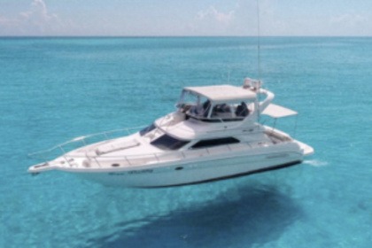 Hire Motorboat Sea Ray Flybridge 13m Cancún