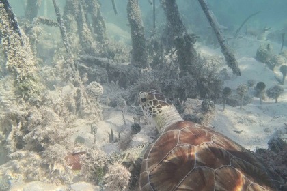 GRACE BAY LUXURY  YACHT BAVARIA 33’