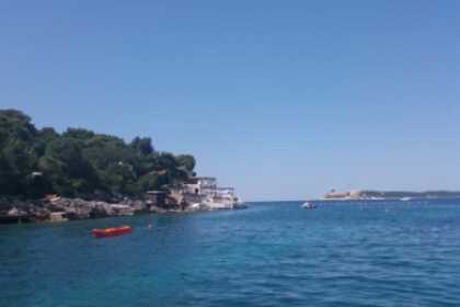 Cruise with captain on Brand New Baracuda 686