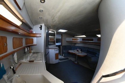 Sea Ray 450 Sundancer (DAILY CRUISES)