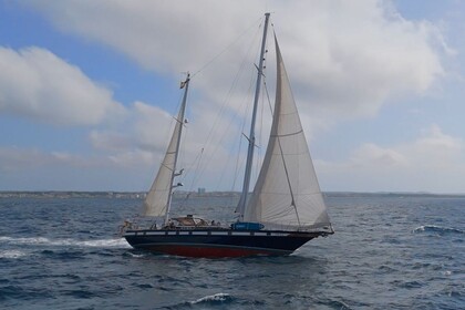 Alquiler Velero Jongert 21S Puerto de Alcudia