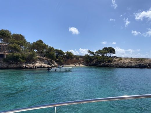 Palma de Mallorca Catamaran . YANMAR alt tag text