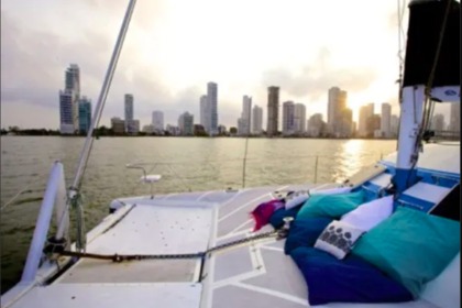 Rental Catamaran Wildcat 35 Saona Island