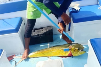 Rondleidingen en safari's in Panama