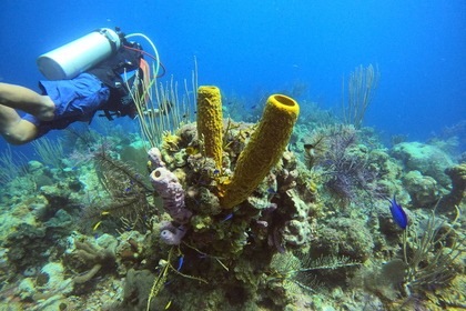 "ALL INCLUSIVE" CATAMARAN
