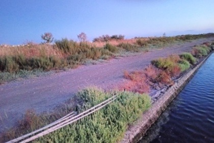 Alquiler de embarcaciones sin licencia Canal du Midi