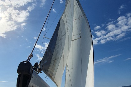 Customized Sailing Tour Up to 8 People