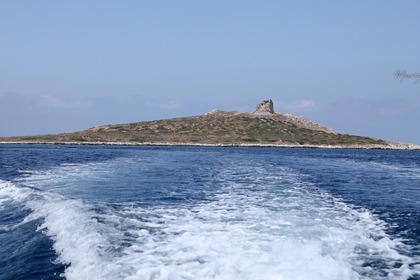 Peschereccio di nuova costruzione