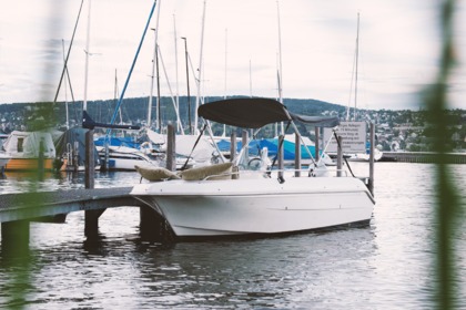 Rental Motorboat Quicksilver 435 C Lake Zurich
