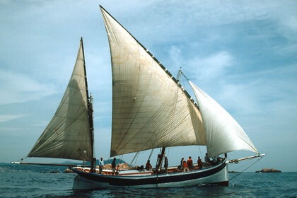Hyra båt Segelbåt Custom Custom Palamós