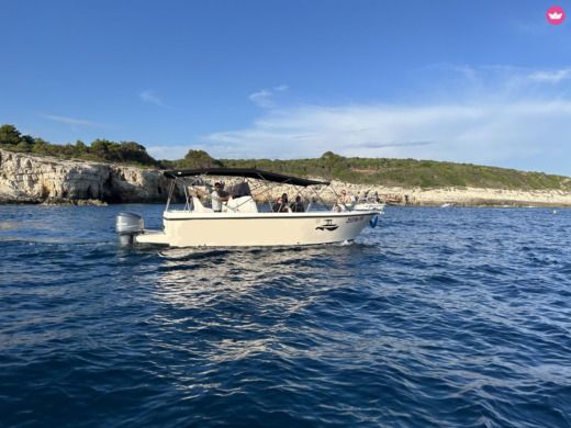 Aeda Dubrovnik 800