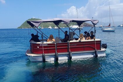 Charter Motorboat Smartliner 18 feet Terre-de-Haut