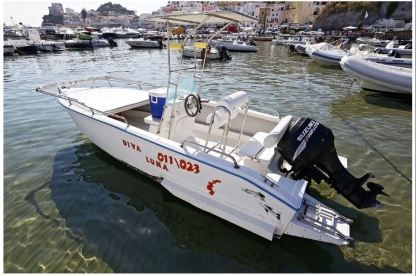 Charter Motorboat Motoscafo Barracuda Ponza