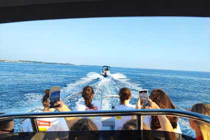 Miete Motorboot Blueline 21 open Općina Poreč