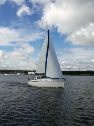 Janmor 34AC