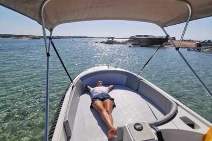 SEM LICENCA. Marion 500 Classics Bei