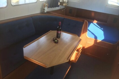 Doerak 950 OK AK Mr. Dirk