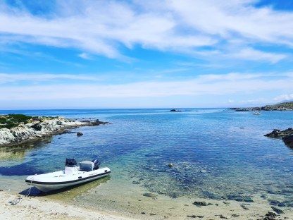 Location Semi-rigide Capelli Tempest 505 Algajola