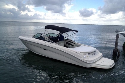 Rental Motorboat Sea Ray 240 Marbella