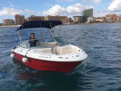 Charter Motorboat Monterey 208 Si Fuengirola