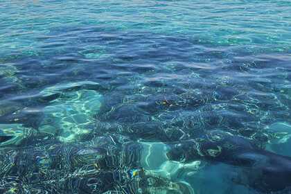 Location Semi-rigide Capelli Capelli Tempest 775 Ajaccio