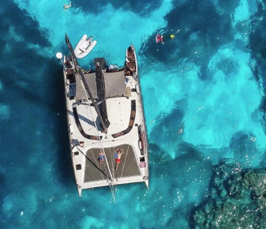 Tournier Marine Freydis 49