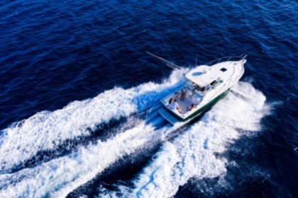 Charter Motorboat Pursuit 3400 